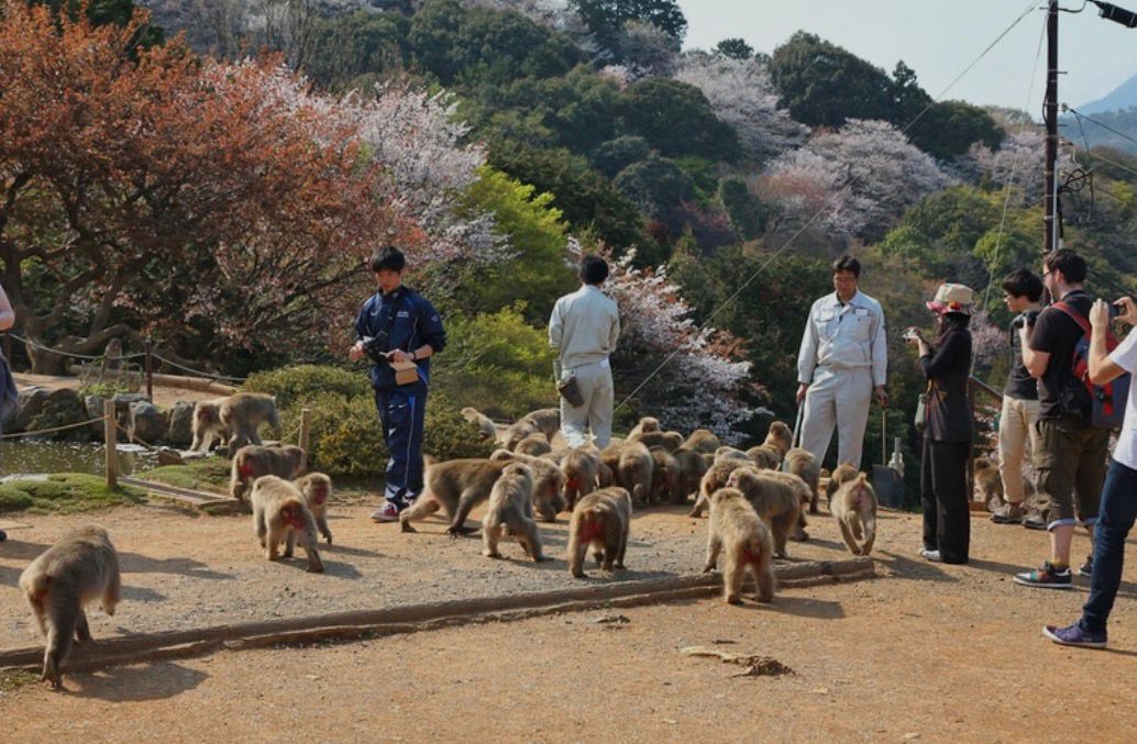 Nara