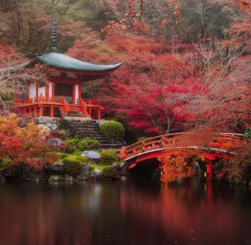 kyoto_japan (8)